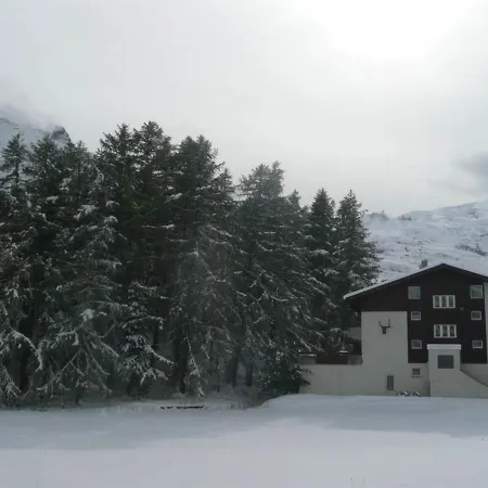 Am Vogelwald Apartment