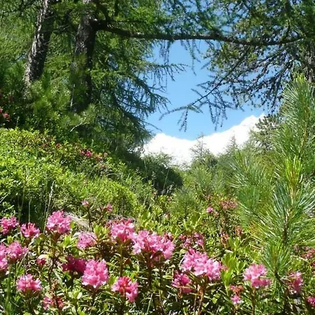 Apartamento Am Vogelwald